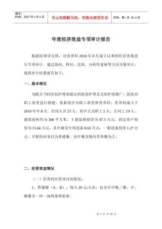 年度经济效益审计报告