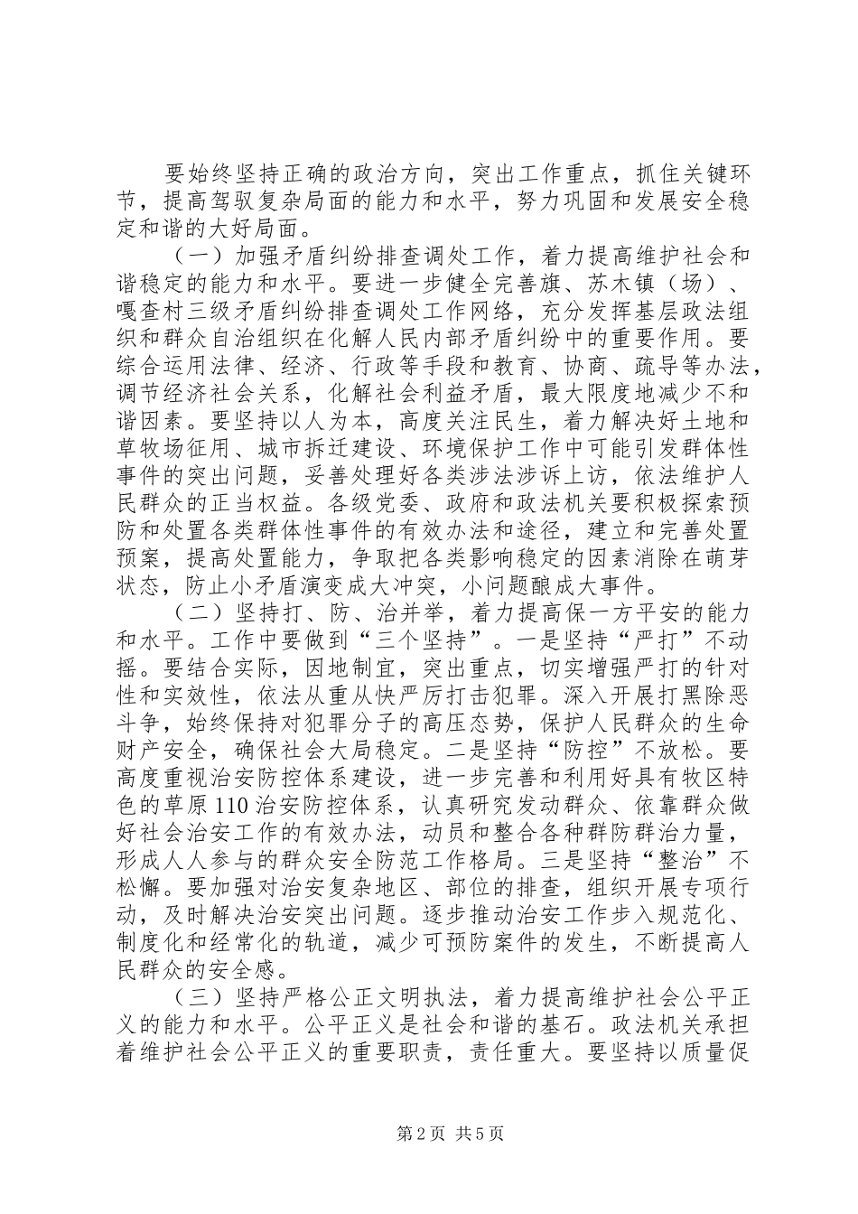 在政法综治大会的发言稿_第2页