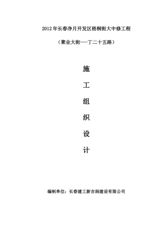 市政道路大中修工程
