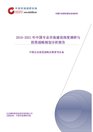 年中国专业市场建设深度调研与投资战略规划分析报告