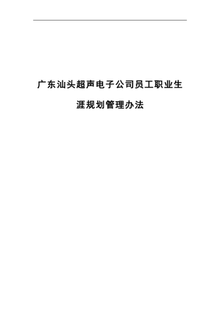 广东汕头超声电子公司员工职业生涯规划管理办法