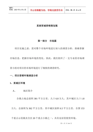 广西某商业城策划详案