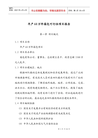 年产60万件箱包可行性研究报告