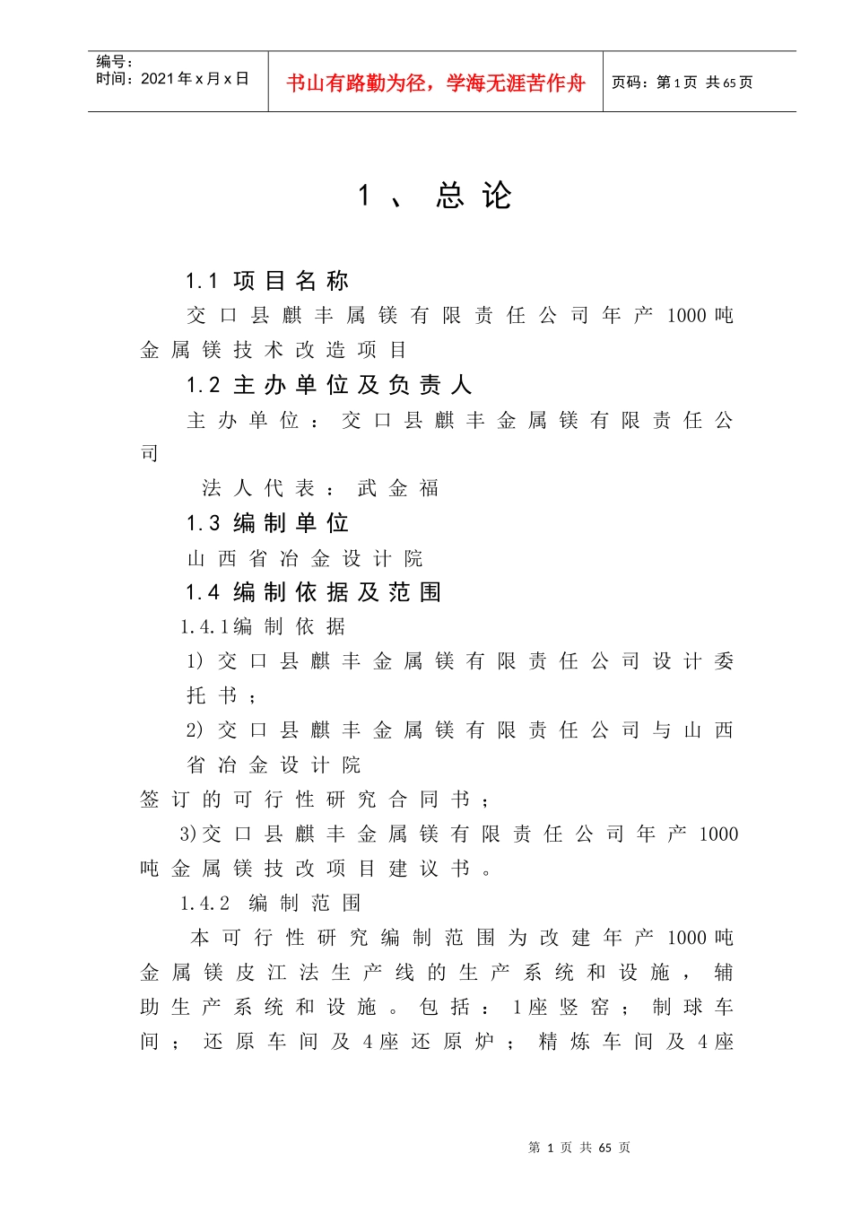 年产1000吨金属镁技术改造项目可行性报告_第1页