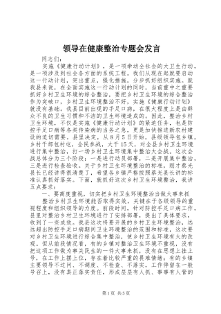 领导在健康整治专题会发言稿