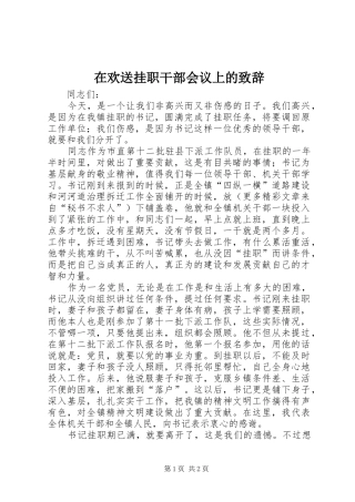 在欢送挂职干部会议上的致辞演讲(5)