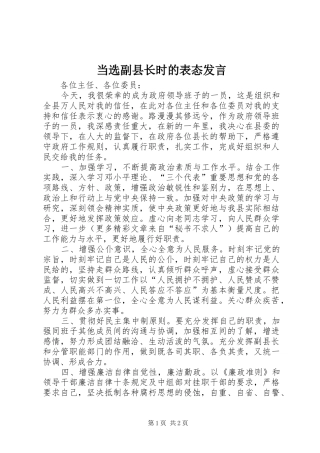 当选副县长时的表态发言稿