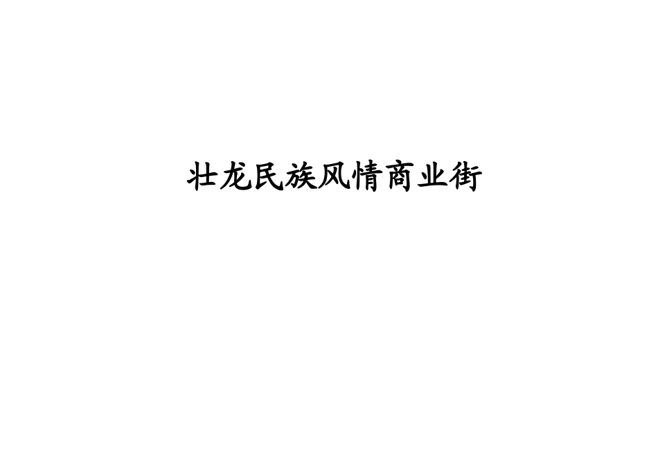 广西那坡县商业街策划方案_第1页