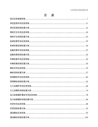应急预案及现场处置方案
