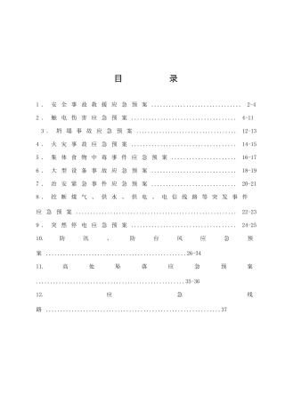 应急预案2018(DOC39页)
