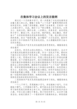 在集体学习会议上的发言提纲材料