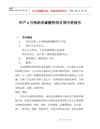 年产4万吨纳米碳酸钙项目预可研报告