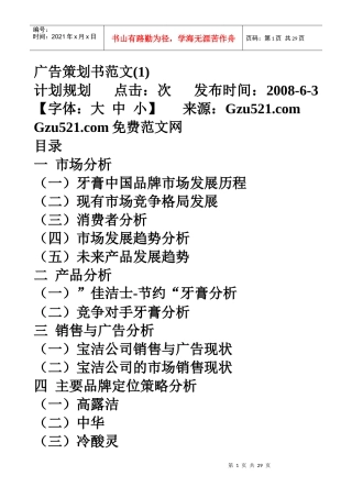 广告策划书范文