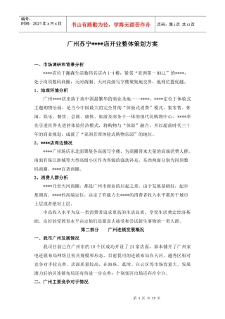 广州某苏宁店开业整体策划方案
