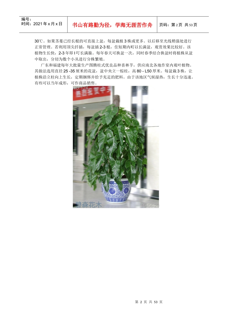 常见花卉养殖方法_第2页
