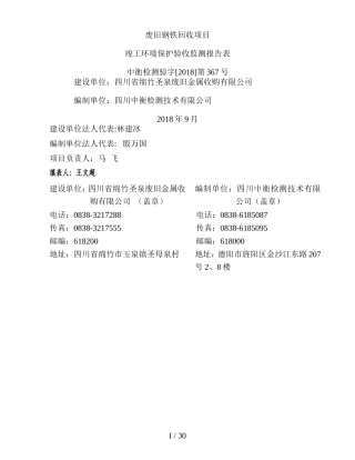 废旧钢铁回收项目(DOC31页)