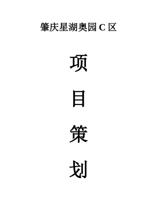 广东肇庆星湖奥园C区项目策划书