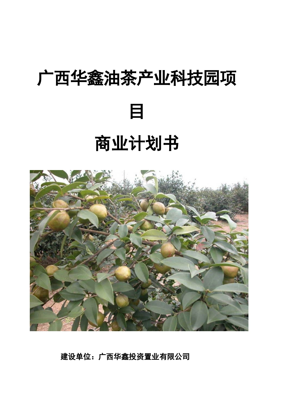广西华鑫油茶产业科技园项目商业计划书_第1页