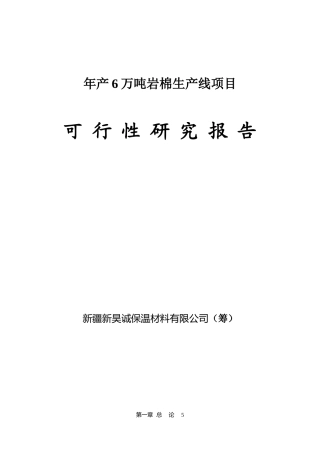 年产6万吨岩棉生产线项目可行性研究报告