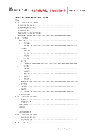 广场可行性研究报告