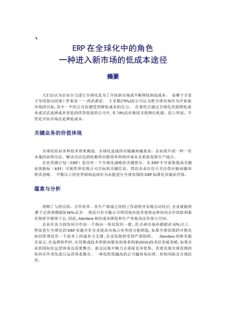 erp是一种进入新市场的低成本途径