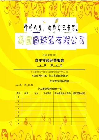 ERP2圆珠笔经营报告
