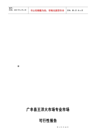 广丰县王洋大市场可行性报告