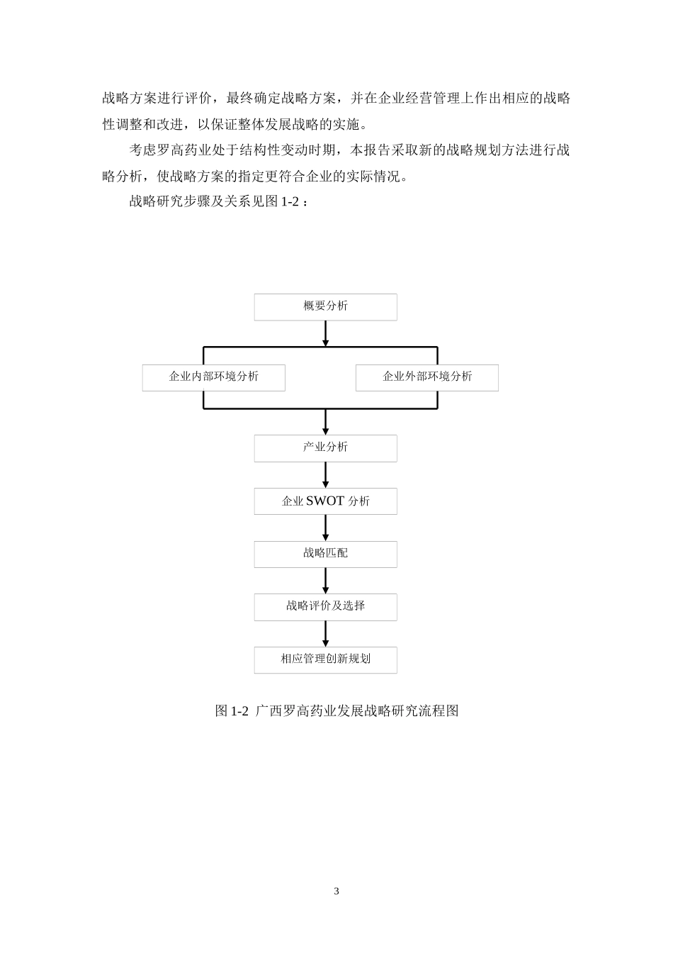 广西罗高药业发展战略研究报告_第3页