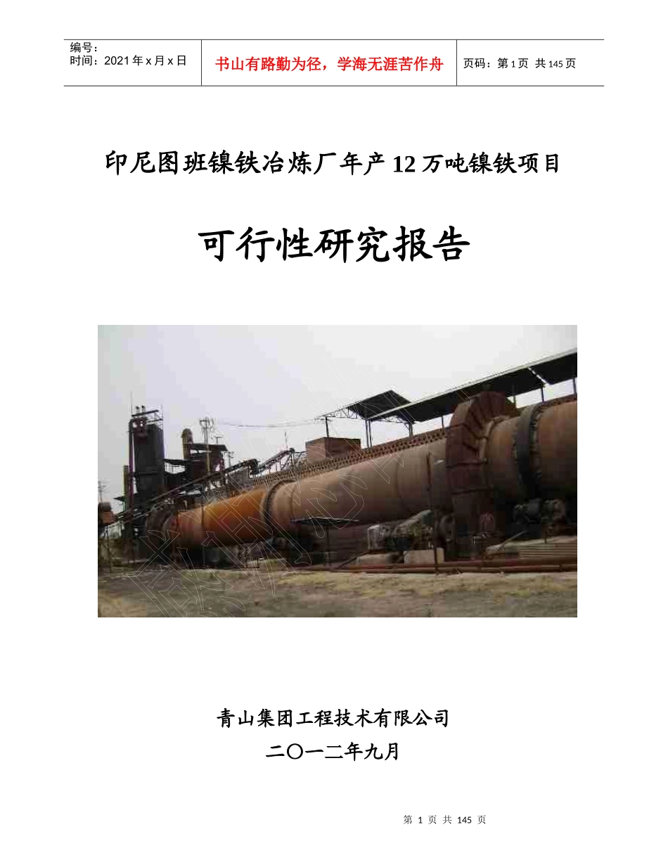 年产12万吨镍铁项目可行性研究报告_第1页