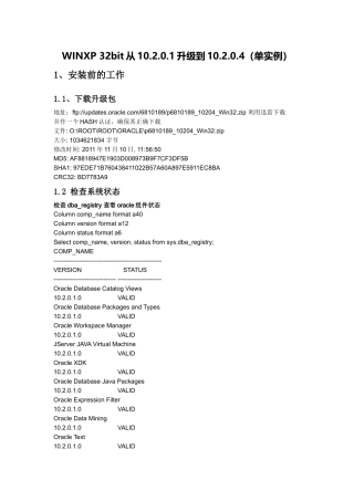 oracle 10g 单实例 升级方案文档