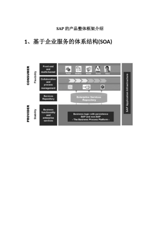 SAP的产品整体框架介绍（DOC38页）