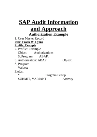 SAPAuditInformationandApproach