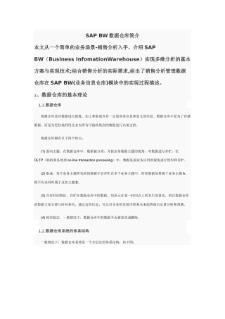 SAP BW中文简介