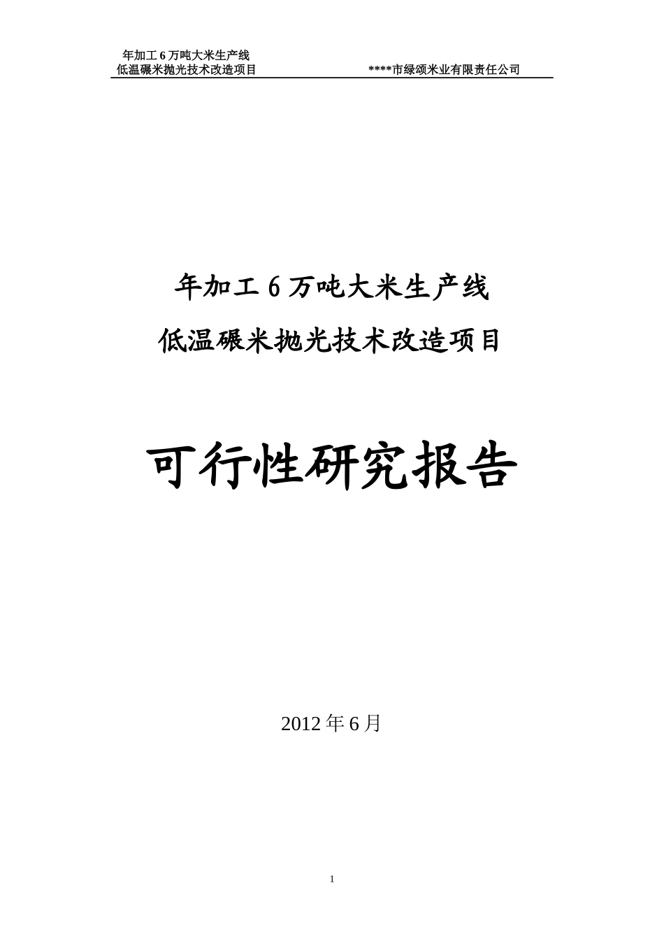 年加工6万吨大米生产线技术改造项目可行性研究报告_第1页