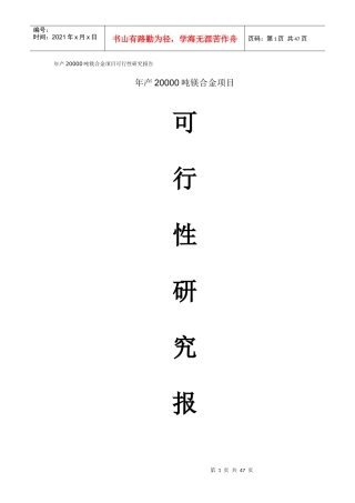 年产20000吨镁合金项目可行性研究报告