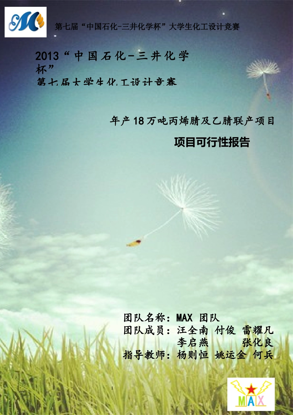 年产18万吨丙烯腈及乙腈联产项目可行性报告_第1页