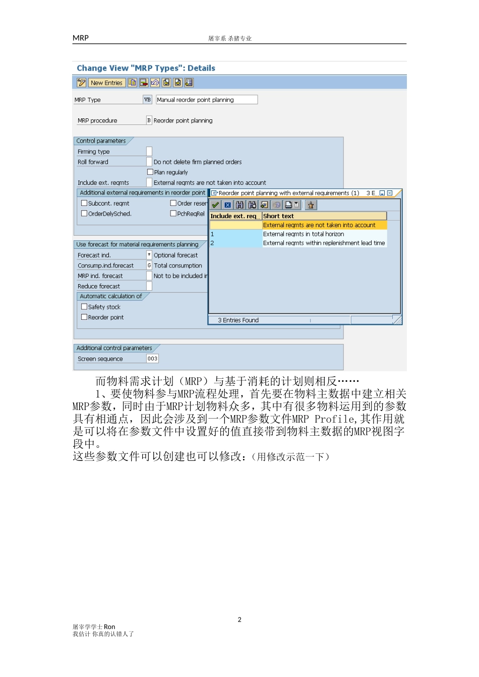 SAP-MRP(DOC46页)_第2页
