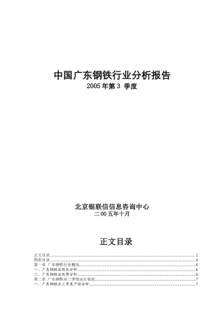 广东钢铁行业分析报告（DOC80页）