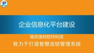 企业信息化平台建设(PDF46页)