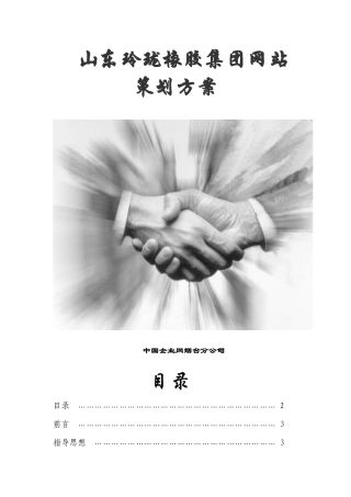 中国企业网-山东玲珑橡胶-集团网站策划方案