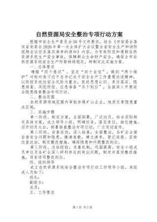 自然资源局安全整治专项行动方案