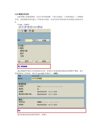 SAP方丈-ABAP-SAP增强应用实例
