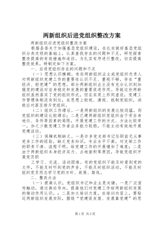 两新组织后进党组织整改方案