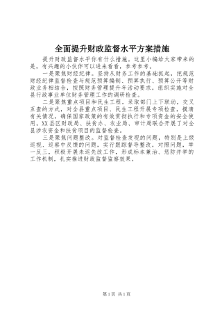 全面提升财政监督水平方案措施