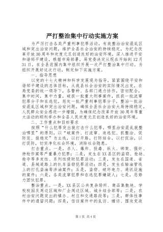 严打整治集中行动实施方案