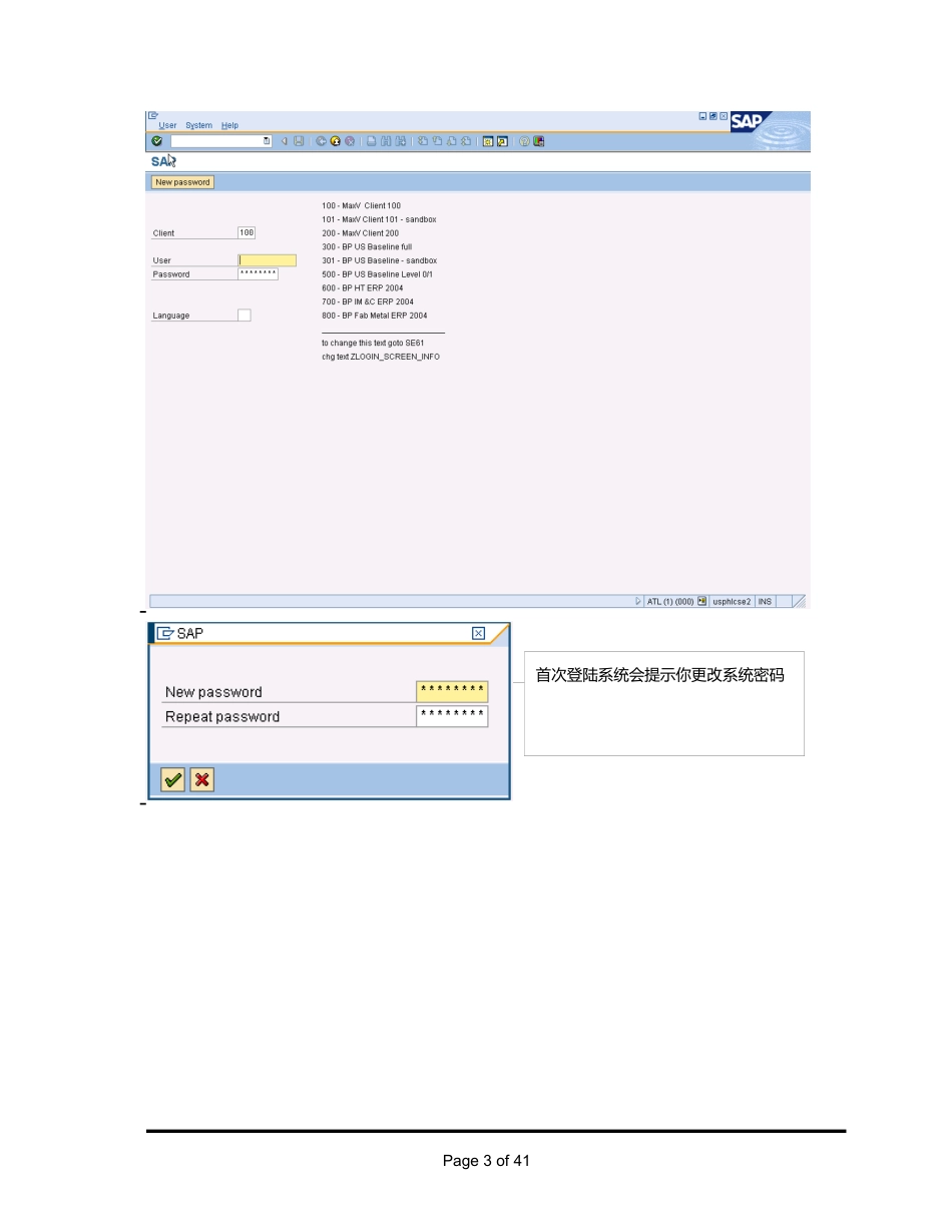SAP入门教程_ChineseVersion_第3页