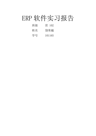 ERP软件实习报告