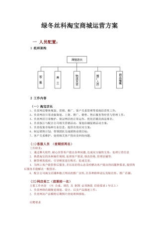 企业淘宝商城运营方案