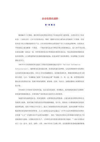 企业信息化进阶DOC
