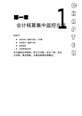 ERP系统实施-用友-用友ERP方案-01_第一章 会计监控(DOC 17页)